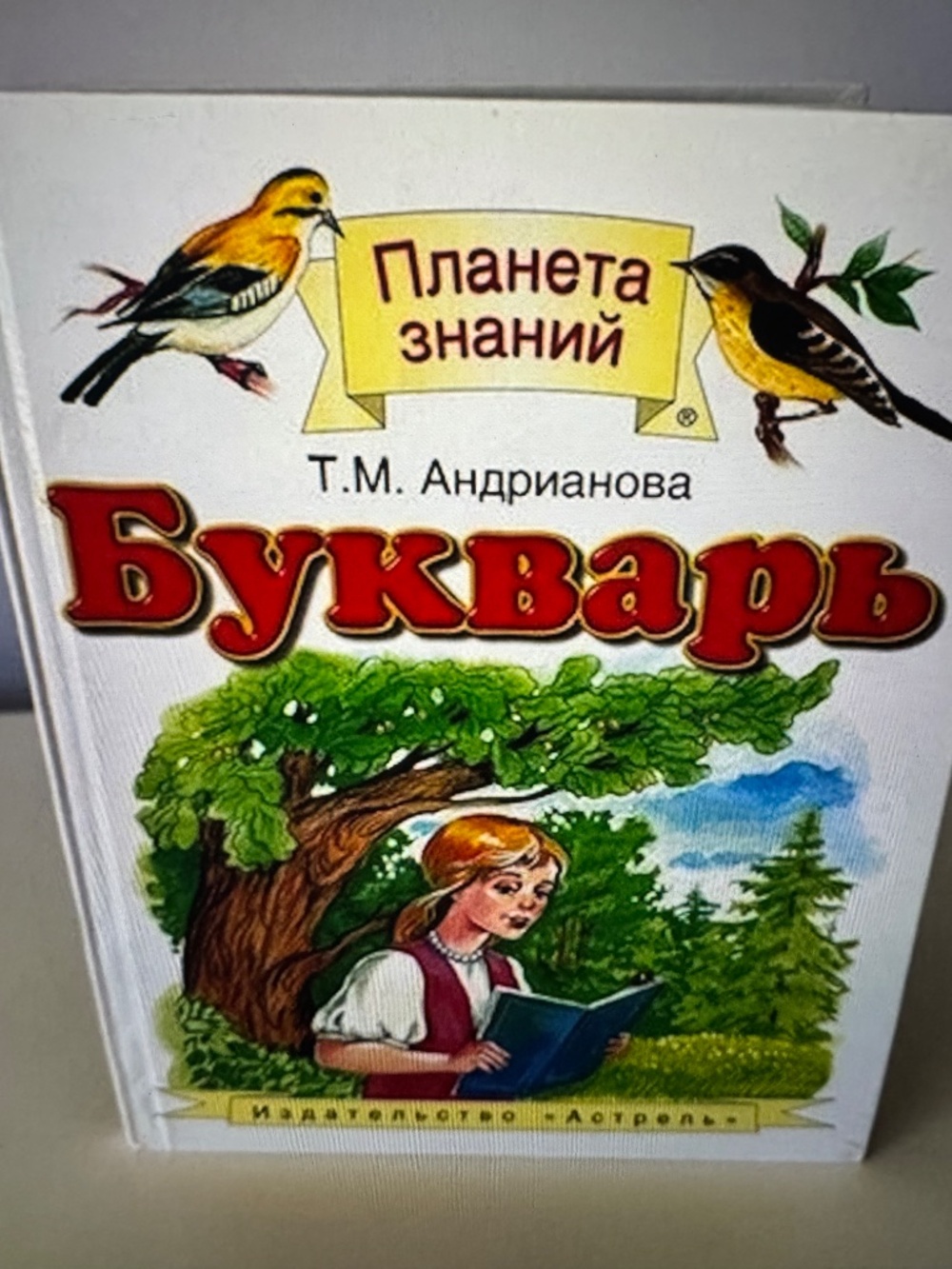 Russian Books, Russian Bykvar for kids, T. M. Andrianova - Picture 9 of 9
